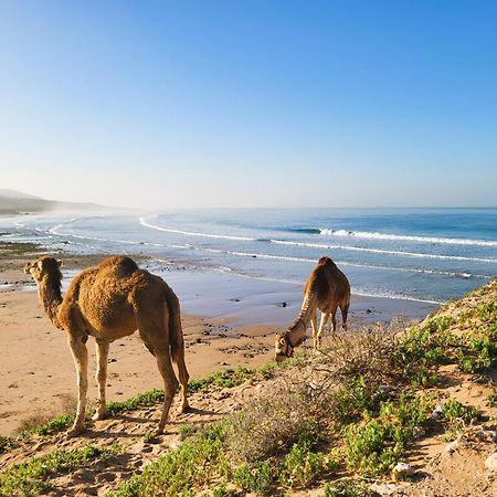 Casa Janoub Morocco Hotel Tamraght Bagian luar foto